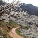 세상사는이야기 이미지