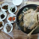 [김준의 맛과 섬]-[151]-[외달도 한방전복닭죽]-[2023. 8. 12. 수. 조선일보 칼럼] 이미지