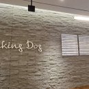 Thinking Dog(띵킹 독)