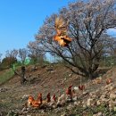 공개농장 이미지