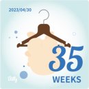 꽃님이약국 | : 29살 장유니 임신35주차 일기_#26