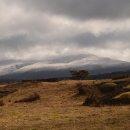 영호목장 이미지