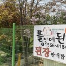 농업회사법인(주)허니비