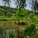 보라매공원 이미지