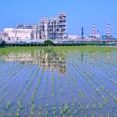 창신세탁소 이미지