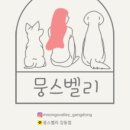 뭉스벨리 이미지