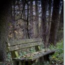 윈치과의원 이미지