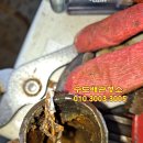 관촌명진로얄맨션 이미지