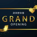 라아한의원 Daum카페
