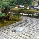 원민박 - 정선군 사북중앙로 73-2 | 원민박