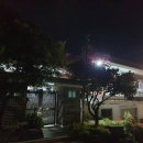 아리랑밸리켄넬 네이버블로그