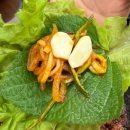 통큰손 쭈꾸미마을 응암점 이미지