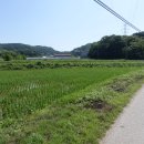 용연2통 이미지