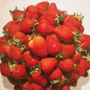 그린맘건어물 | 부안여행:)곰소물회, 곰소시장, 변산면 마실길4코스, 바람섬카페, 휘목미술관