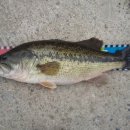 보성강3 이미지