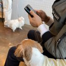 광주다온동물병원 이미지