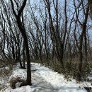 강원재생 | 강릉 능경봉 산행 후기 ｜주차·화장실 정보, 아직 봄이 오지 않은 대관령(2026 강원 20명산 챌린지)