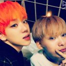 스니스니 이미지