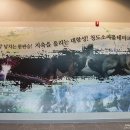 청도소싸움테마파크 이미지