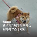 주아펫 | 광주 케이펫페어 방문 후기 | 부스배치도 | 가격 및 이벤트