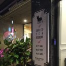 살롱드 퍼피 이미지