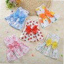 러블리 강아지 이미지