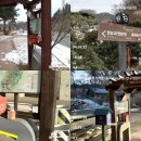 반구정습지 이미지