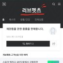 러브펫츠 이미지