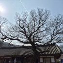 정화이동통신 | 해남 두륜산 대흥사