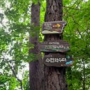 고양누리길 9코스 고봉누리길 이미지