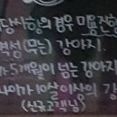 메이플스토리애견샵
