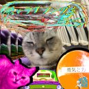 탑시크릿