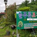 늘푸른조경 이미지