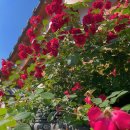 너나들이센터 화장실 이미지