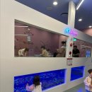 정보식당 | [부산] ‘아틀란티스 부산점’ 부산 키즈카페 추천 / 할인 및 주차 정보 / 식당 / 내돈내산 후기