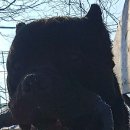 빈코리아 이미지