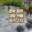 녹스카페 | 영주 대형카페 '녹스고지' 주말 데이트 코스, 베이커리 맛집이자 뷰 맛집