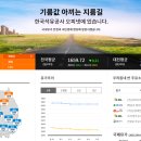 내면주유소 이미지