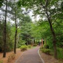 너른공원 게이트볼장 이미지