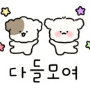위케이팝퍼스