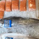 민어사랑 이미지