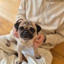 멍플레이 | 강아지 없어도 갈 수 있는 노원 애견카페 멍플레이 후기 / 주차 이용방법