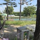 대보매점 이미지