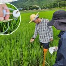 전북특별자치도농업기술원 이미지