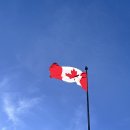 🇨🇦 캐나다 밴쿠버 워홀러의 기념품 선물사기 대방출 🍁