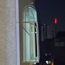 화이트빌 Daum카페