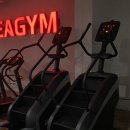 코리아 짐 이미지