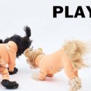 쿨 퍼피 이미지