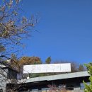 대야미역 | 반월호수 대야미역 안산 군포 맛집 온리 쭈꾸미 예약 본점 후기