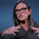 비트코인 이미지